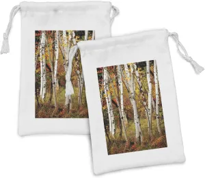 Ambesonne Fall Fabric Pouch Set of 2, White Birch Trees Autumn Leaves Growth Wilderness Ecology Calm Serene View Print, Small Drawstring Bag for Toiletries Masks and Favors, 9" x 6", Multicolor