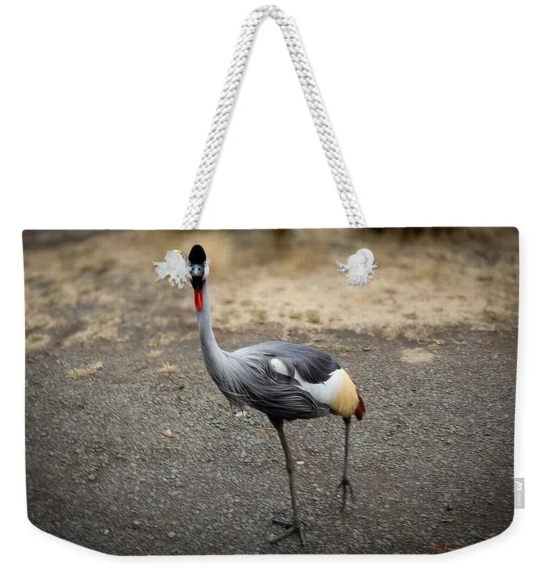 Goosed Weekender Bag Retro-inspired  - Tote Limited discounts