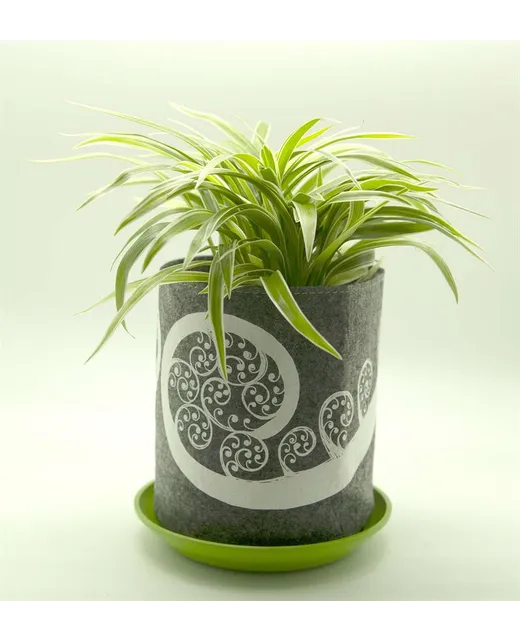 Growbag Fern Frond on Mid Grey