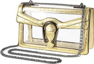 Joryin Women's Stadium Approved Crossbody Bag for Women, Small Clear Bag Shoudler Purse with Chain Strap